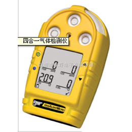 便携式CH4检测报警仪