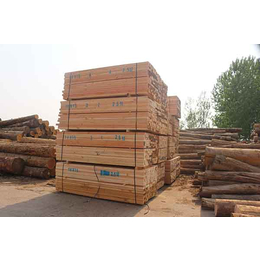 工程用铁杉建筑方木|辰丰木材(在线咨询)|青岛铁杉建筑方木