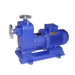ZCQ50-40磁力泵|跃泉泵业(在线咨询)|六安磁力泵
