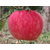 陕西洛川苹果批发价|景盛果业|陕西洛川苹果缩略图1
