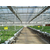 温室用玻璃价格-建英农业科技-宜宾温室用玻璃缩略图1
