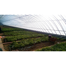 玻璃温室、坊子温室、青州鑫华生态农业