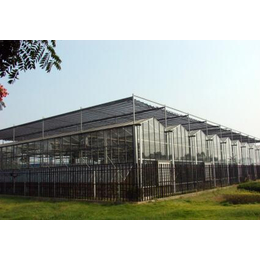 青州鑫华生态农业(图)|智能温室大棚|通化温室