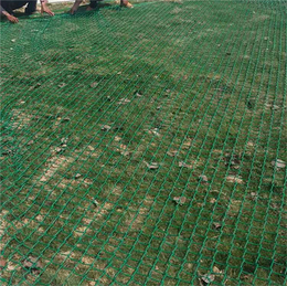 泰州学校球场围网-东川丝网-学校球场围网生产
