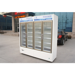 医药冷藏柜型号,医药冷藏柜,达硕冷冻设备生产(查看)