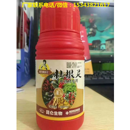 植物挑战王壮根灵  中药材*