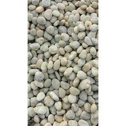 黑色鹅卵石,*石材(在线咨询),黄冈鹅卵石