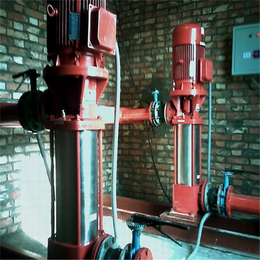 立式消防泵,消防泵,河北华奥水泵