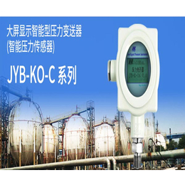 北京*海岸 (多图)|河北差压传感器价格