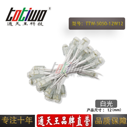 12V12MM白光LED外露穿孔防水5050SMD贴片灯串