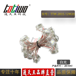 12V20MM白光LED外露穿孔防水2835SMD贴片灯串