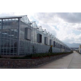 青州鑫华生态农业科技(图)|玻璃温室|海北温室