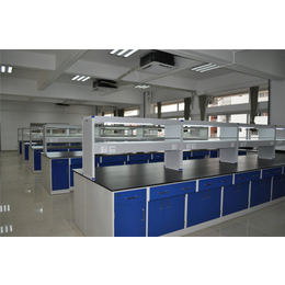 赣州实验室不锈钢通风柜|广州中增实验室设备