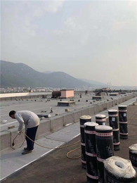 水区SBS防水材料厂-喜盛防水材料-大庆市水区SBS防水材料