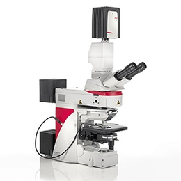 Leica正置生物显微镜DM4-B DM6-B