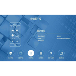 网站开发+网站建设+软件开发