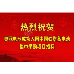 胶体电池认证-奥冠新能源(在线咨询)-南京胶体电池