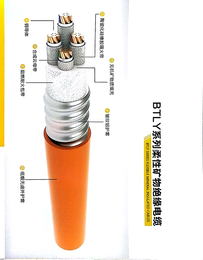 供应河南金水电缆集团生产的BTLY系列缩略图