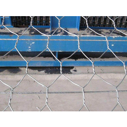 电焊石笼网|渤洋丝网|电焊石笼网优点