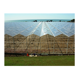 阳光板智能温室大棚造价-瑞青农林科技-汕尾温室大棚