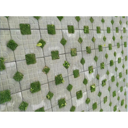 弘通建材(图)、生态植草砖批发、惠州停车场植草砖