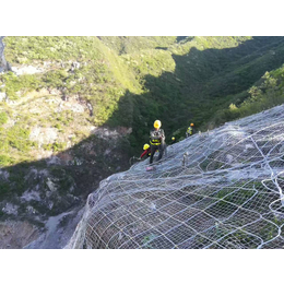 高速公路主动防护网