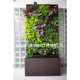 展厅植物墙|一枝花绿化|展厅植物墙厂家