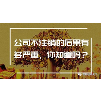 中天诚投翟经理代理公司注销吊销转注销税务注销