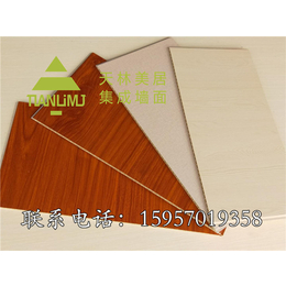 竹木纤维护墙板生产厂家|天林美居集成墙面|竹木纤维护墙板