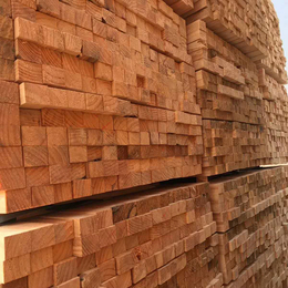 邵阳建筑木材加工-日照国通木业-建筑木材加工销售
