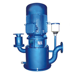 龙岩65WFB-BD自吸式水泵|北工泵业(在线咨询)
