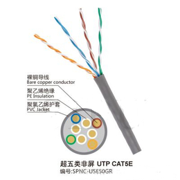 SUPERLINK  可以定制OEM 超五类网线 厂家*