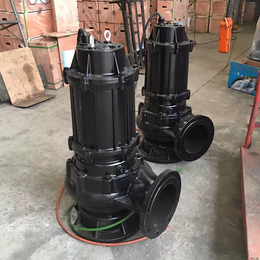 黑龙江200WQ400-10-22立式排污泵|潜污泵厂家