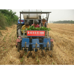 火绒小型种菜机厂家,西红柿苗移栽机,鸡西移栽机