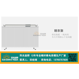 壁挂式碳纤维电暖器_安康碳纤维电暖器_阳光益群