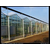 青州鑫和温室园艺厂(图)|玻璃温室厂家|山西玻璃温室缩略图1