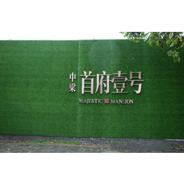 武汉2.0cm厚 军运会绿草皮现货 围挡宣传广告草坪围墙