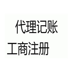 财务代账有什么要求,定西财务代账,邦都商贸(查看)