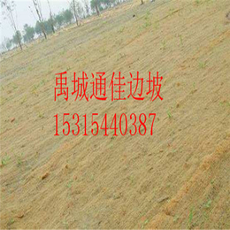 杭州护坡植物纤维毯 环保植生毯 河道治理 边坡护坡