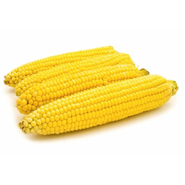 汉光农业有限公司(图)-收购玉米的公司-海南求购玉米