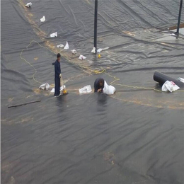 铁岭防渗土工膜-泰安佳路通-湖底防渗土工膜