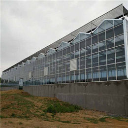 种植玻璃大棚温室,玻璃大棚,金盟温室