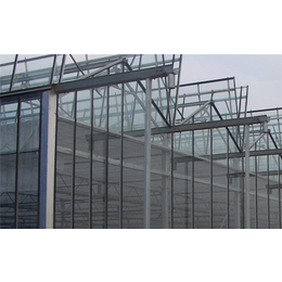 玻璃温室工程|齐鑫温室园艺(图)|广西玻璃温室工程