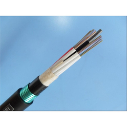 远洋电线电缆(图)-光缆在线咨询-光缆