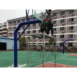 儿童篮球架-特冠体育设施公司(在线咨询)-宜春市篮球架