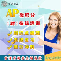 AP网课辅导老师、AP网课、英语e站教育(查看)