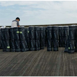 杭州sbs防水|荣靖|10度的sbs防水材料缩略图