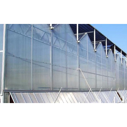 齐鑫温室园艺、阳光板温室、阳光板温室的优势
