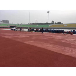塑胶跑道|华宸体育人造地坪|塑胶跑道建设