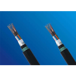 安徽春辉集团(图)|信号控制电缆厂家|湖南信号控制电缆